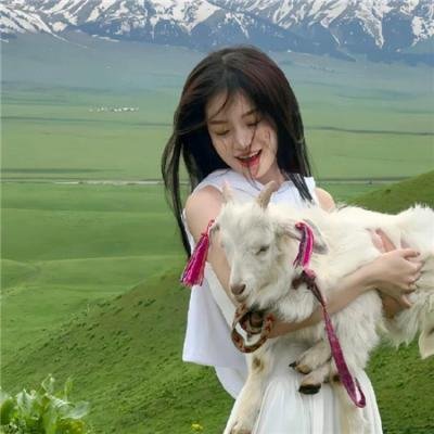 惨痛的战争